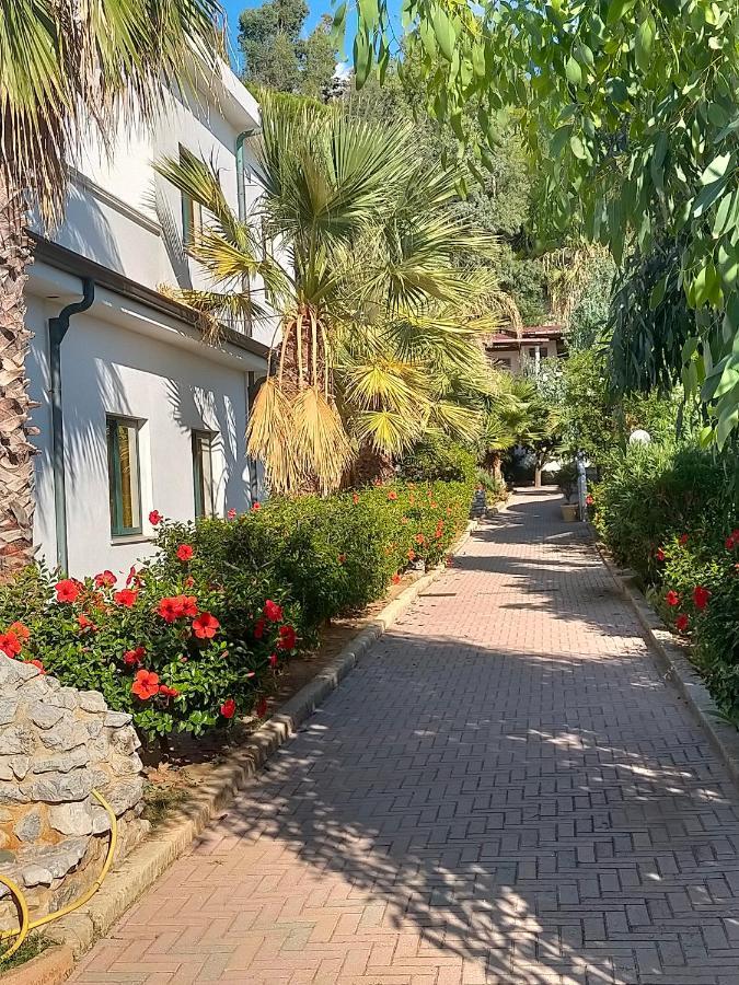 Villaggio Agrumeto Capo Vaticano